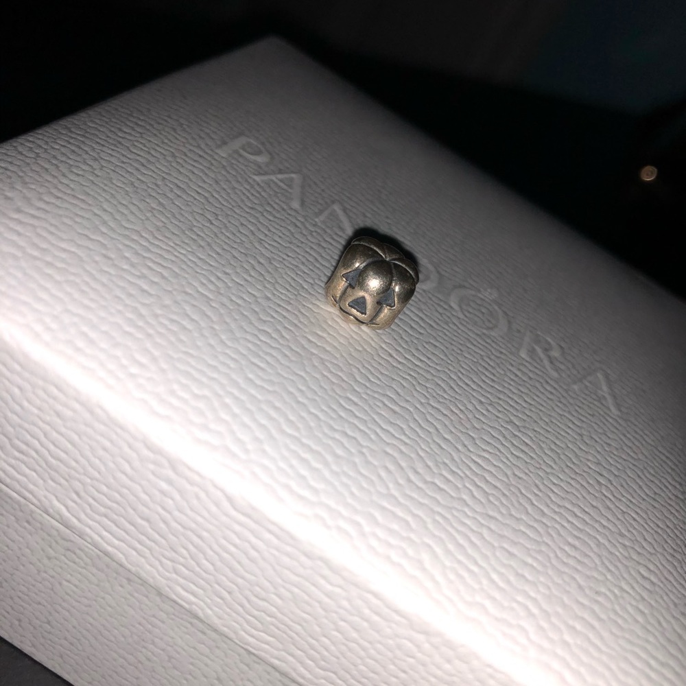 Pandora bracelet charm